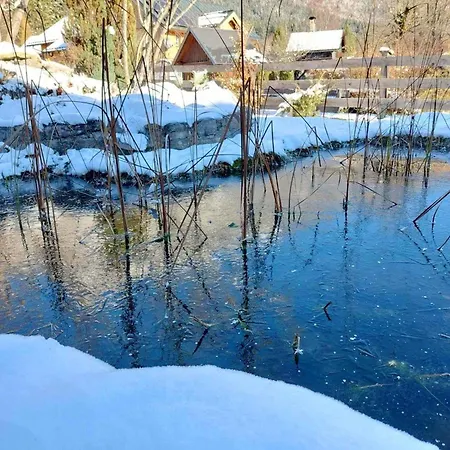 Buehemirla By Fis - Fun In Styria דירה אלטאוסיי